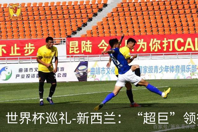 世界杯巡礼-新西兰：“超巨”领衔平民军团，小组突围不是梦！