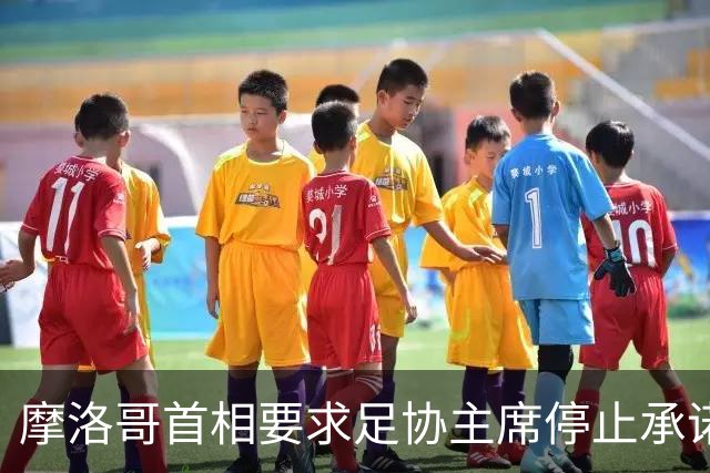 摩洛哥首相要求足协主席停止承诺承办世界杯决赛