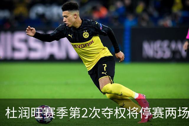 杜润旺赛季第2次夺权将停赛两场 无缘辽粤大战