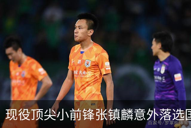 现役顶尖小前锋张镇麟意外落选国家队，郭士强选择背后的深层原因解析