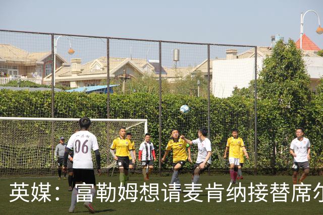 英媒：富勒姆想请麦肯纳接替席尔瓦，前者离开伊镇可能性增加