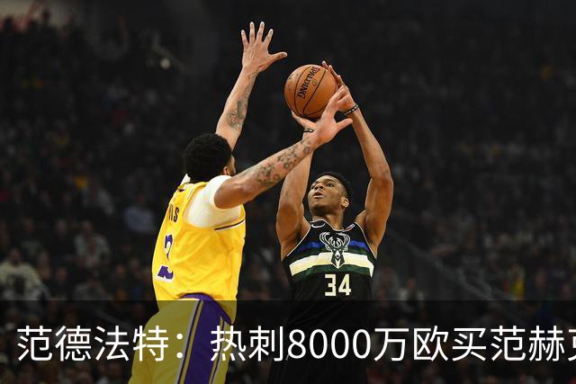 范德法特：热刺8000万欧买范赫克？这可是一笔非常非常多的钱