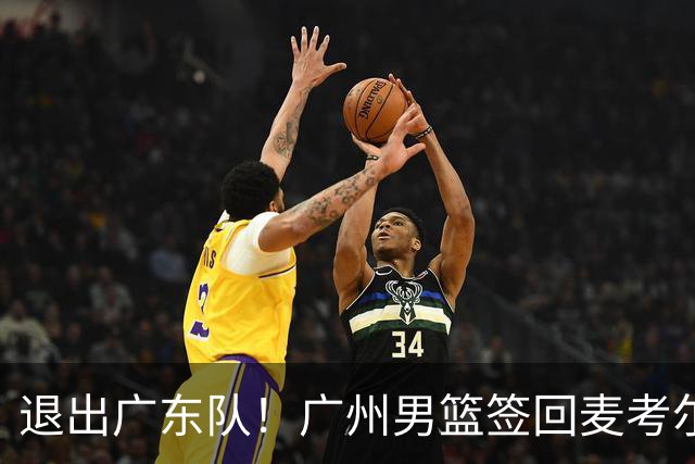 退出广东队！广州男篮签回麦考尔，上赛季坑惨杜锋了！