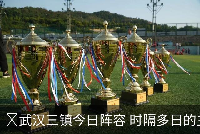 💙武汉三镇今日阵容 时隔多日的主场比赛 并肩战斗 ​​​